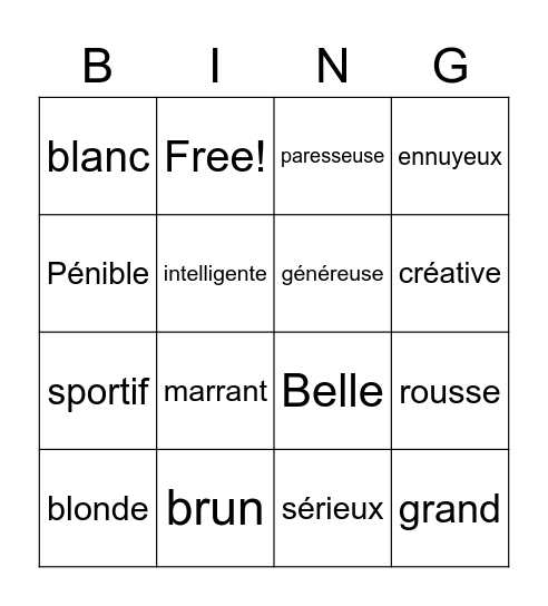 Adjectifs- féminin/masculin Bingo Card