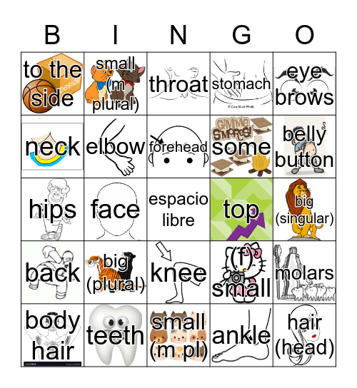 Cuerpo Bingo Card