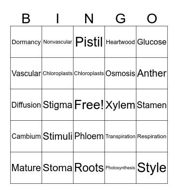 Plant Vocabulary Bingo Card