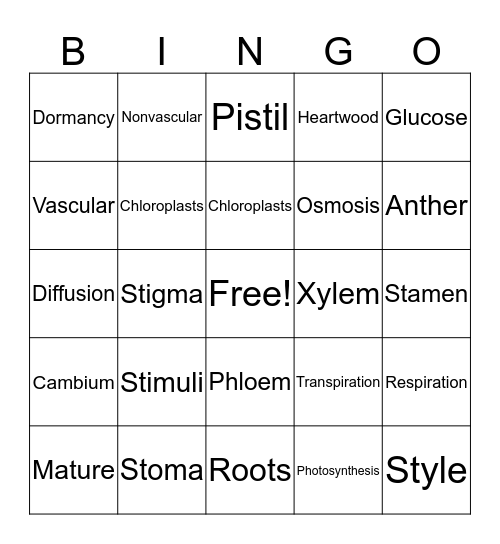 Plant Vocabulary Bingo Card