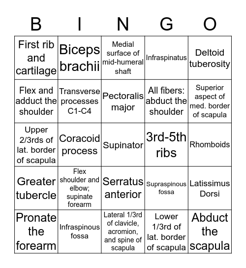 Shoulder and Arm Bingo Card