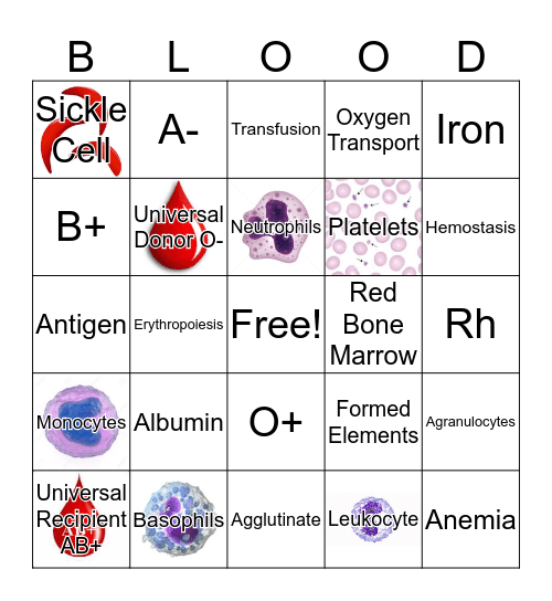 Blood Bingo Card