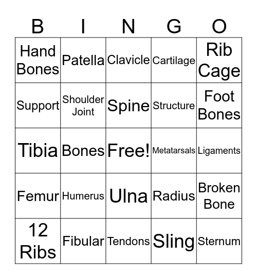 Human Skeleton  Bingo Card