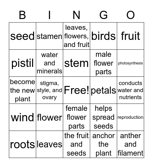 Plant Parts & Functions Bingo Card