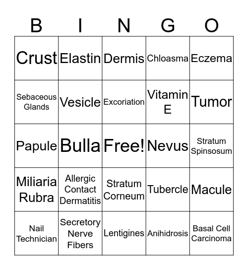 Chapter 7 Bingo Card