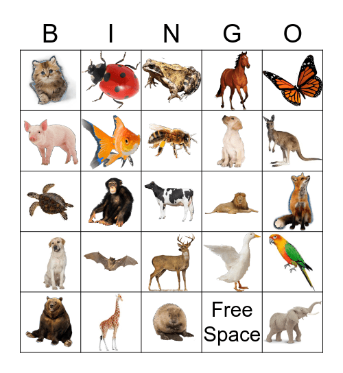 Animals Bingo Card