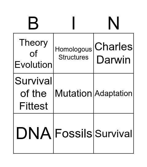 Evolution BINGO Card
