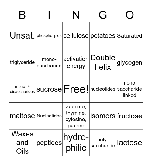 Biochemistry Bingo Card
