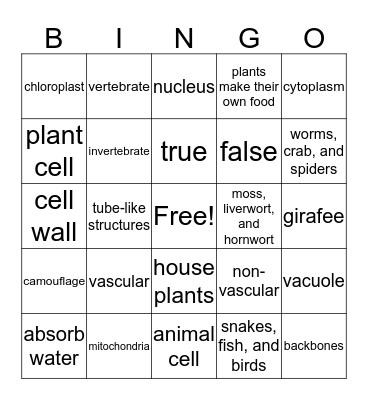 Living Systems  Bingo Card