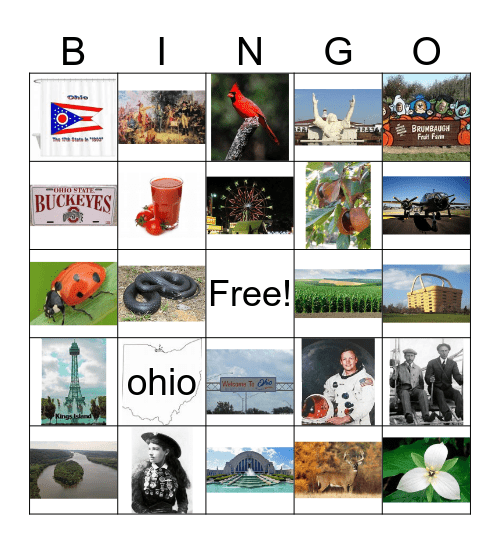 OHIO Bingo Card