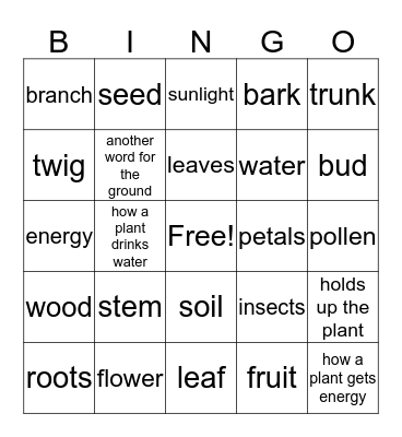 Parts of the Plant Bingo Card