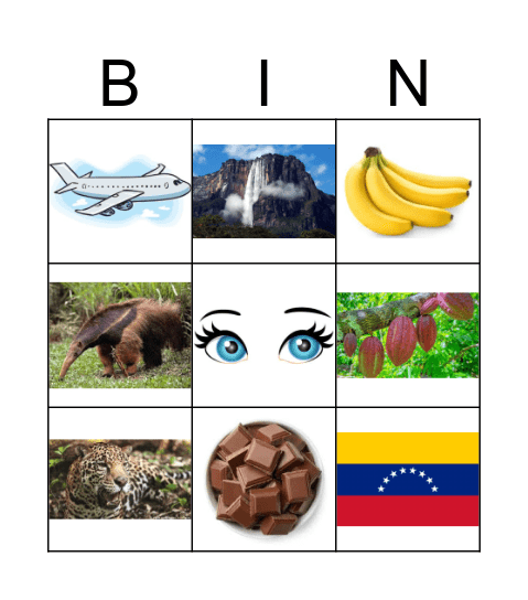 Venezuela Bingo Card