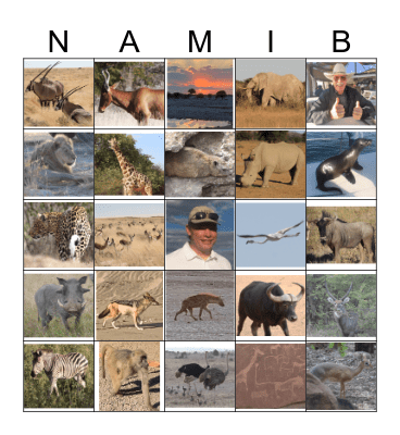 Namibian Wildlife and other strange Sites Bingo Card