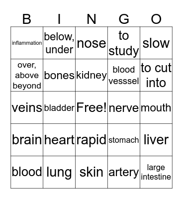 Medical Terminology Bingo Card