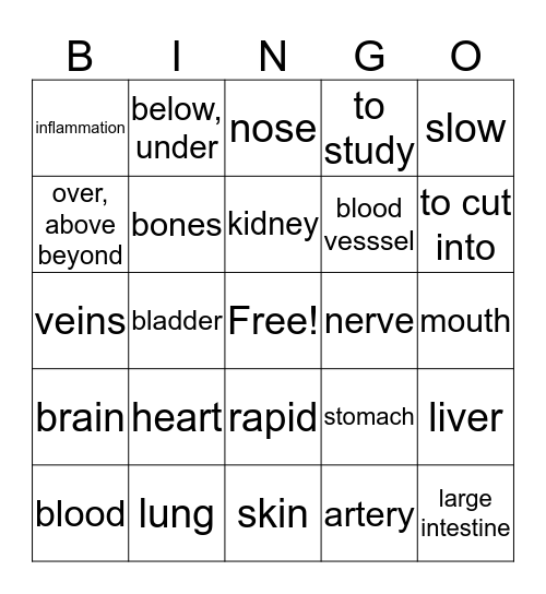 Medical Terminology Bingo Card