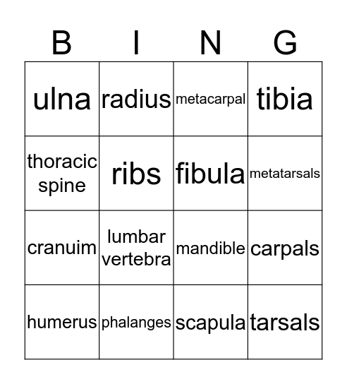 Bones  Bingo Card