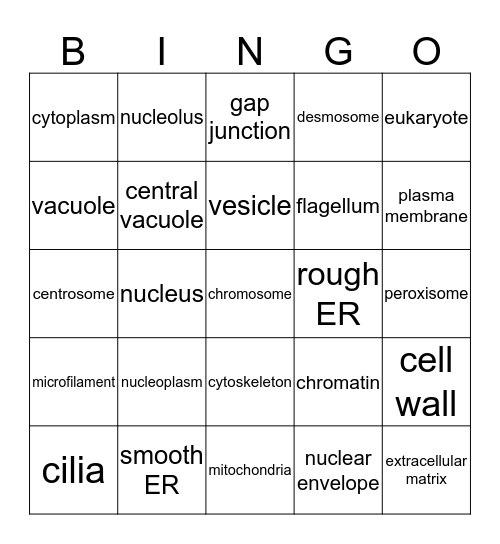 CELL STRUCTURE BINGO Card