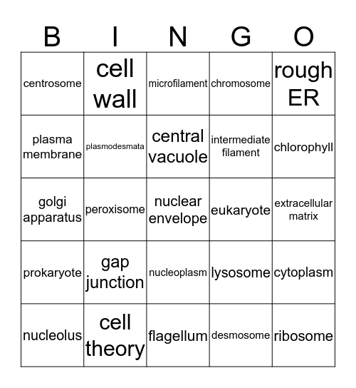 CELL STRUCTURE BINGO Card