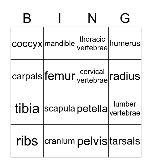 bone Bingo Card