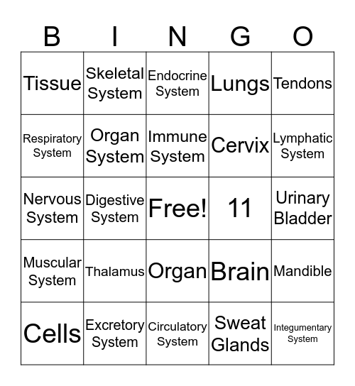 Human Systems Bingo Card
