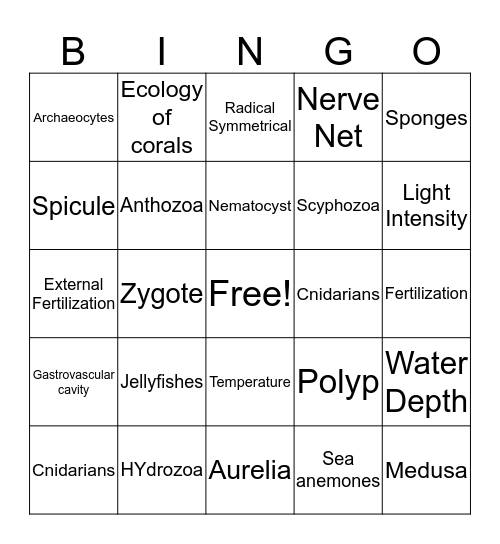 Cnidarians Bingo Card