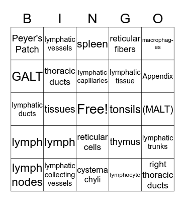 Lymphatic Bingo Card
