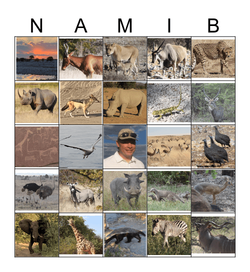 Namibian Wildlife and other strange Sites Bingo Card