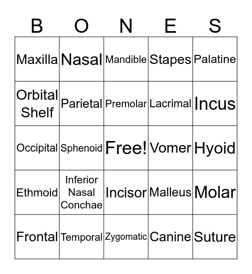 Skeletal Bone(r) Bingo Card