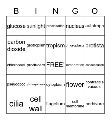 Science Review Bingo Card