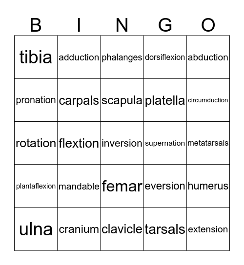 bones and joint movement Bingo Card