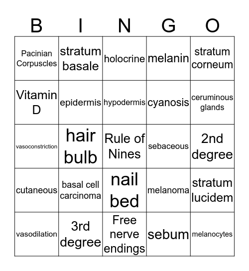 Integumentary System Bingo Card