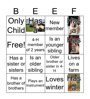 4-H Beef Bingo Card
