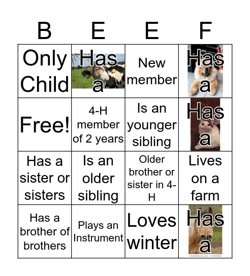 4-H Beef Bingo Card