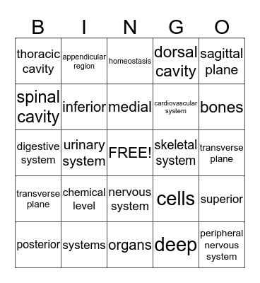 MOD. I-Exam 2 Bingo Card