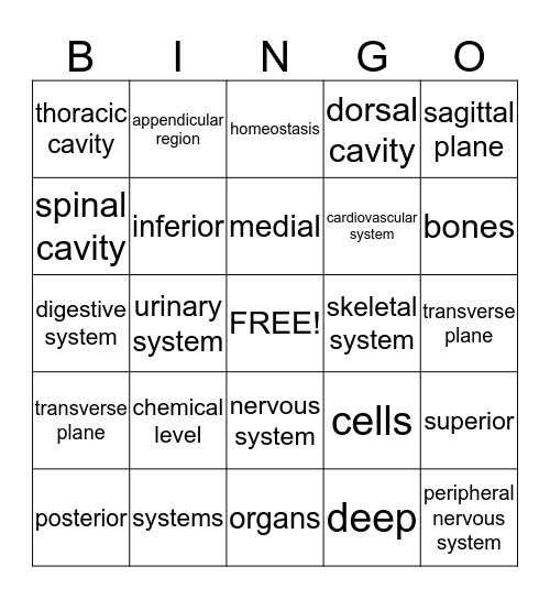 MOD. I-Exam 2 Bingo Card