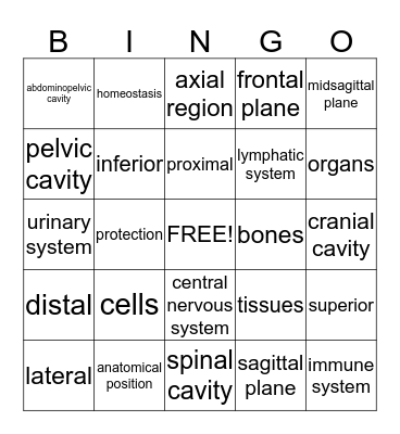 MOD. I-Exam 2 Bingo Card