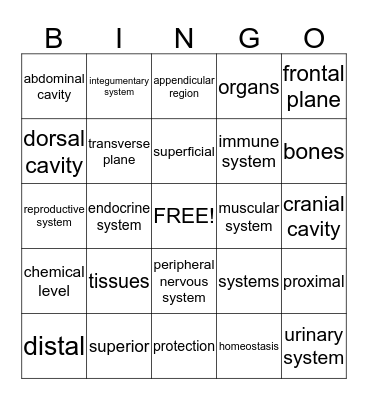 MOD. I-Exam 2 Bingo Card