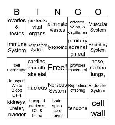 Human Body System Bingo Card