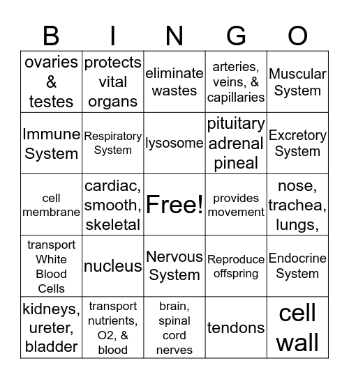 Human Body System Bingo Card