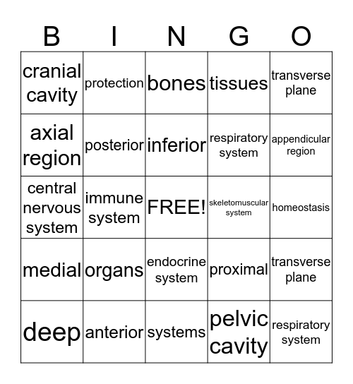 MOD. I-Exam 2 Bingo Card