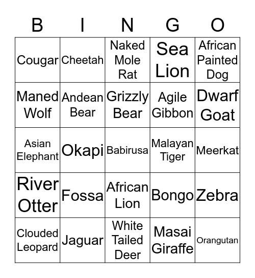Zoo Day H4K Bingo Card