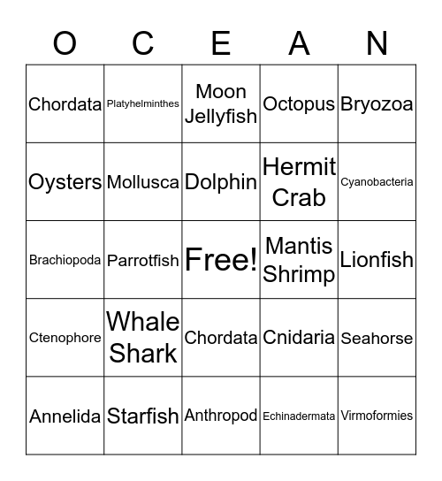 Phylum Bingo Card