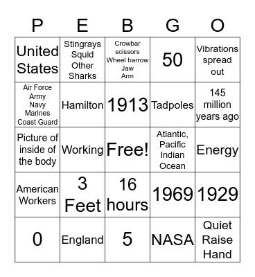 Second Grade Pebble Go  Bingo Card