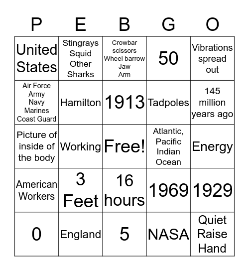 Second Grade Pebble Go  Bingo Card
