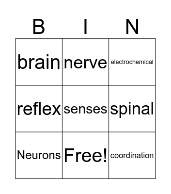 Nervous System Bingo Card