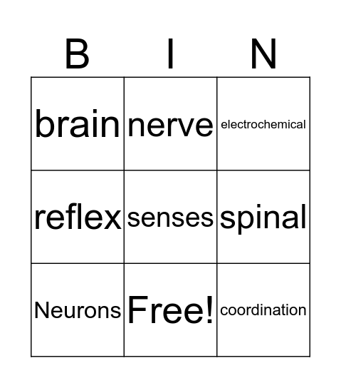 Nervous System Bingo Card