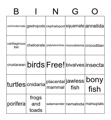 Animal Phylum Bingo Card