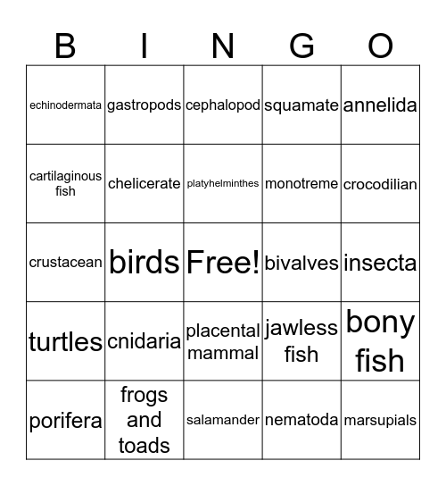 Animal Phylum Bingo Card