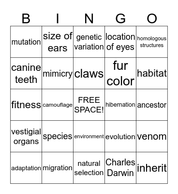 Animal Adaptations Bingo Card