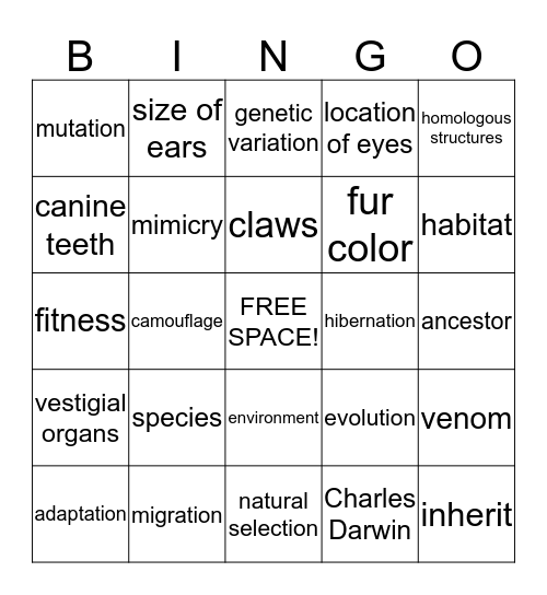 Animal Adaptations Bingo Card